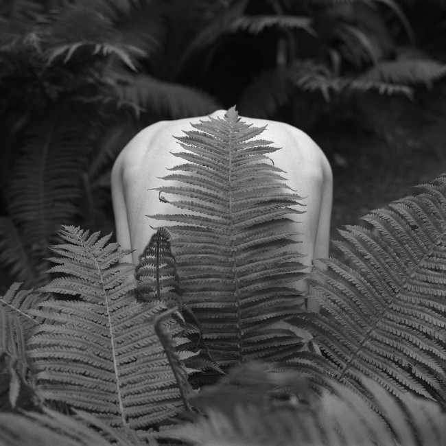 Artystyczne / konceptualne - Plener NPF - photo Wojciech Schoen, portfolio photographer