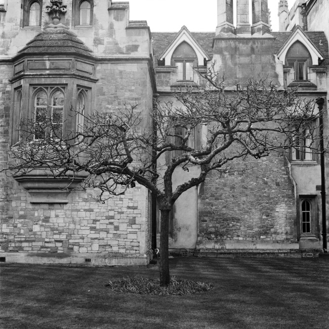 Nature / Wildlife - Cambridge - photo Piotr Prokopowicz, portfolio photographer