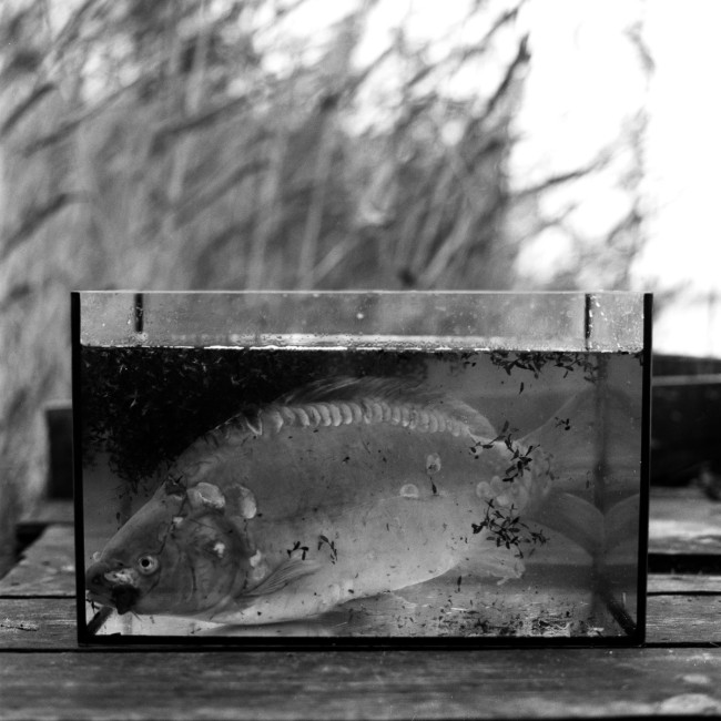 Artistic / Conceptual - Wigilia - photo Piotr Prokopowicz, portfolio photographer